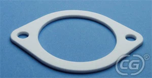 PTFE-Based Gaskets